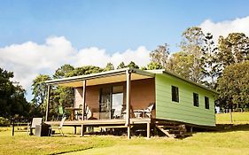 Pinbarren Green Lodges Noosa
